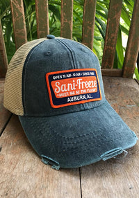 Sani-Freeze Patch Hat - Long Lost Tees